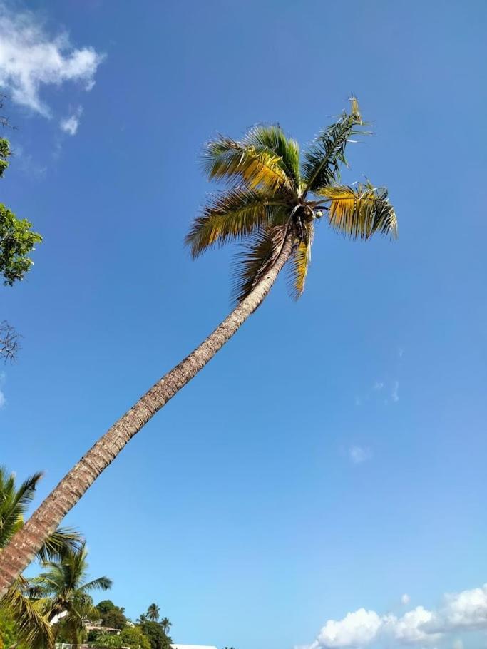 Villa Nautilia, Vue Mer, Proche Plage Les Trois-Ilets Exterior photo